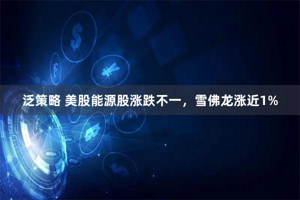 泛策略 美股能源股涨跌不一，雪佛龙涨近1%