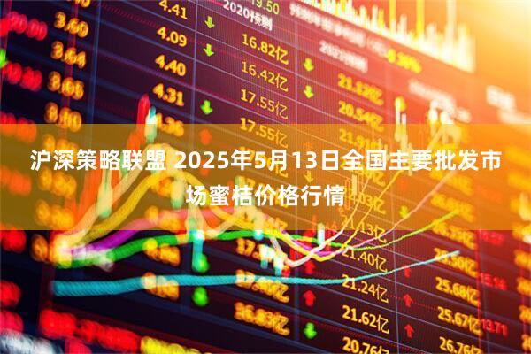 沪深策略联盟 2025年5月13日全国主要批发市场蜜桔价格行情