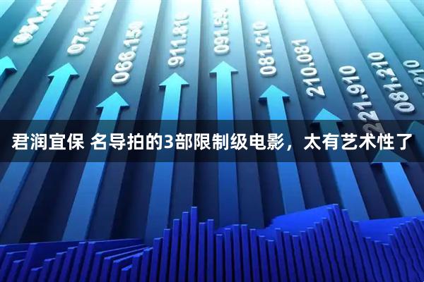 君润宜保 名导拍的3部限制级电影，太有艺术性了