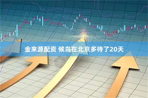 金来源配资 候鸟在北京多待了20天