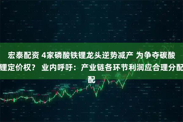 宏泰配资 4家磷酸铁锂龙头逆势减产 为争夺碳酸锂定价权? 业内呼吁:产业链各环节利润应合理分配