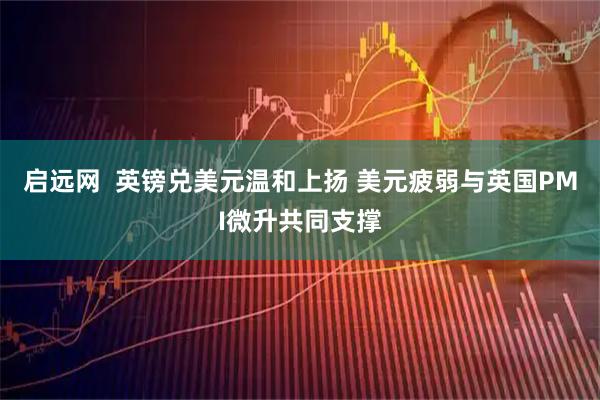 启远网  英镑兑美元温和上扬 美元疲弱与英国PMI微升共同支撑